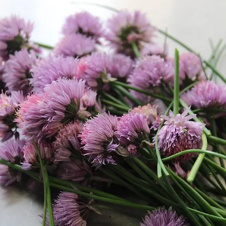 Strandlyst Og Restaurant Hotel